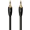 AudioQuest - Tower 3.5mm Mini M > M 2.0' Analog Audio Interconnect Cable - Black with White Stripes-Front_Standard