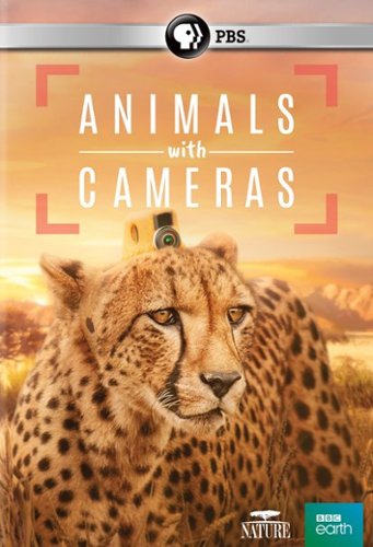 

Nature: Animals with Cameras