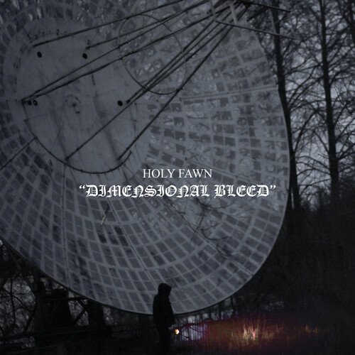 

Dimensional Bleed [LP] - VINYL
