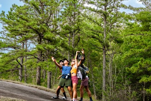 EcoFlow TRAIL 200 DC Portable Power Station 192Wh (192 Wh Capacity) - Black BUY ONLINE