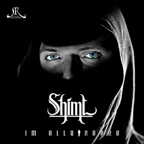 Im Alleingang [LP] - VINYL