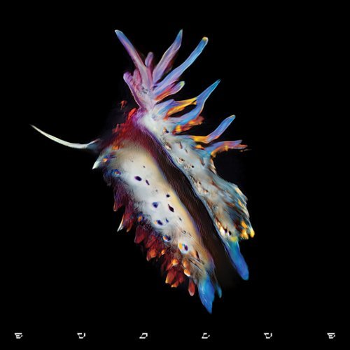 

Evolve [Lenticular Cover Edition] [Clear Vinyl] [LP] - VINYL
