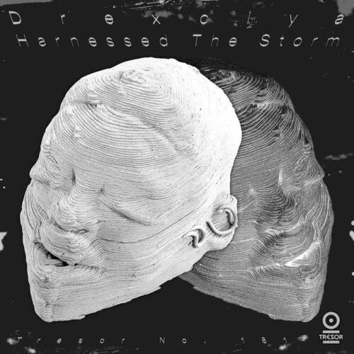 

Harnessed the Storm [LP] - VINYL