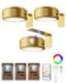 EZVALO - 3 Pack LED Picture Light Wireless Smart Recessed Lighting Wall Decor Light Painting Light with 3 Color Temps - Gold-Front_Standard