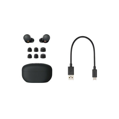 Sony WF 1000XM5 Truly Wireless Noise Canceling Earbuds with Case