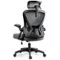 KERDOM - High Back Ergonomic Office Chair with Adjustable Headrest & Lumbar Support Tilt Reclining Computer Chair for Home Office - Dark Gray-Front_Standard