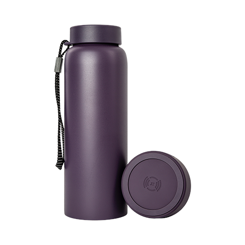 TYLT - Hydration Bottle + Power Bank + Wireless Charger 5700mAh Battery Give 2 Full Phone Charges Qi Wireless Charging - purple-Front_Standard 