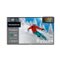 Sylvox - 55" Class Gaming Series Partial Sun Smart Outdoor TV, 120Hz Google TV, 1000 Nit 4K UHD LED, IP55 Waterproof (2025)-Front_Standard