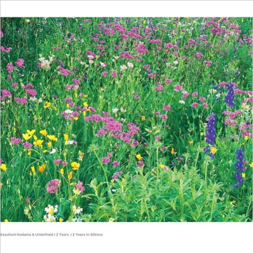 

2 Years/2 Years in Silence [LP] - VINYL