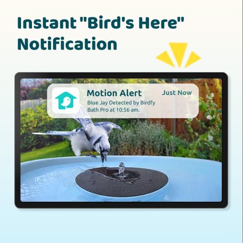 BIRDFY Birdfy Bird Bath Pro AI with Camera, Solar Powered, 1080P HD Bird Camera Auto Capture Bird Bath Videos - Blue WHERE TO BUY