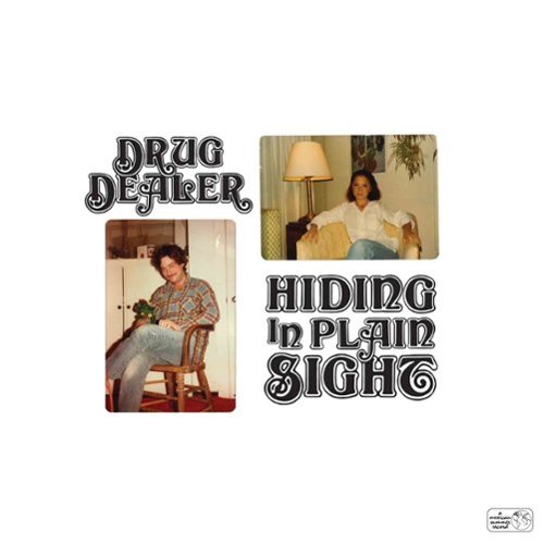 

Hiding in Plain Sight [LP] - VINYL