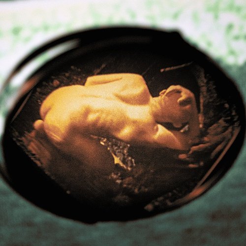 

Sheltering Water [LP] - VINYL