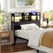 Aheaplus - Twin Headboard Only, Twin Size Headboard with Charging Station, RGB LED Light, and Bookcase Storage - Black-Front_Standard