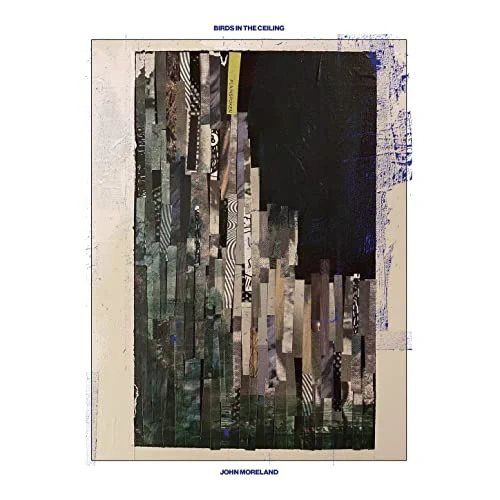 Birds in the Ceiling [LP] - VINYL
