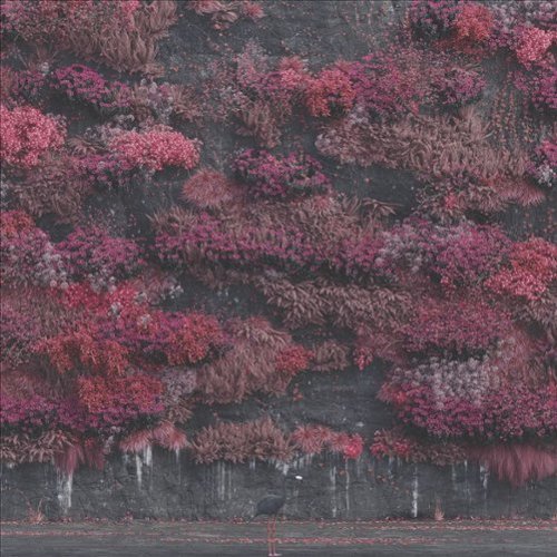 Even in Arcadia [LP] [VINYL]