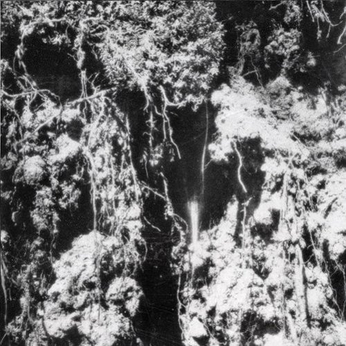 Den Sorte Død [LP] [VINYL]