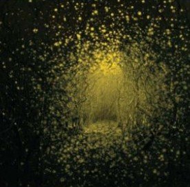  Burst Apart [LP] [VINYL]