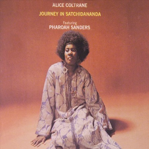  Journey in Satchidananda [LP] - VINYL INTERNATIONAL SHIPPING