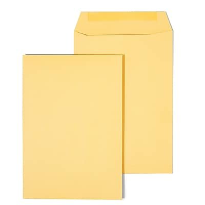Staples - Gummed Kraft Catalog Envelopes, 6.5" x 9.5", 100/Box - Brown