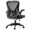 Brick Attic - Ergonomic Home Office Chair, Computer Desk Chair with Adjustable Lumbar support Reversible Armrests, Work Chair - Dark Gray-Front_Standard