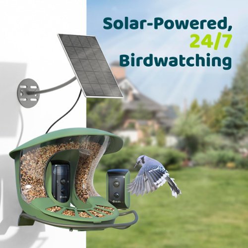 BIRDFY Birdfy 2 Smart Bird Feeder with Camera, Dual-Angle Views,AI Identifies 6000+ Birds,Solar-Powered, Motion Detection - Green WHERE TO BUY