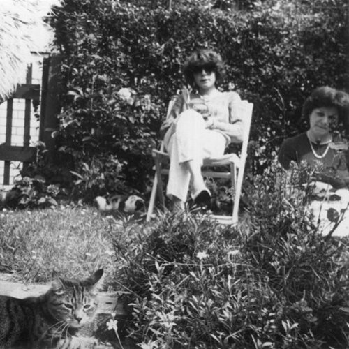 Fernande, Cecile [LP] [VINYL]