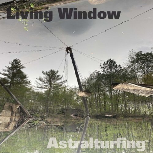 

Astralturfing [LP] - VINYL