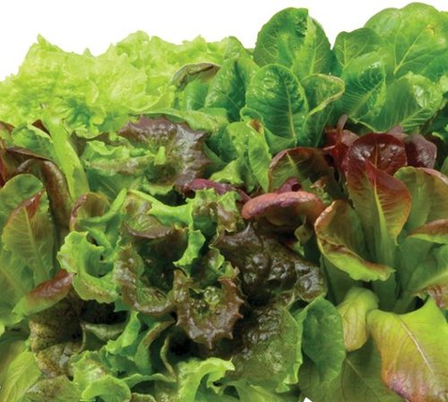 AeroGarden - Heirloom Salad Greens (9-Pod) - Green-Front_Standard 