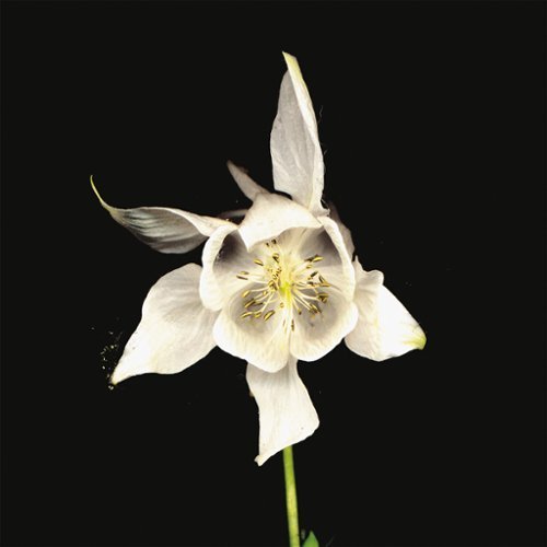 Happiness [LP] - VINYL