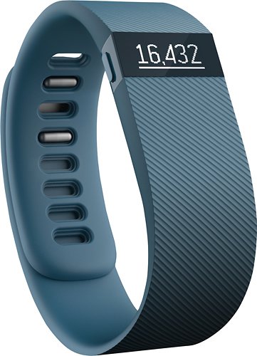  Fitbit - Charge Wireless Activity Tracker (Large) - Slate