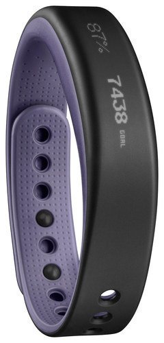  Garmin - Vivosmart Activity Tracker (Large) - Purple