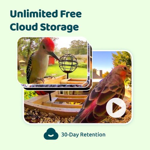 BIRDFY Smart Wild Bird Feeder with Camera for Outdoor , AI Enabled Bird Recognition & Solar Power - Natural Bamboo & Black WORLDWIDE DELIVERY