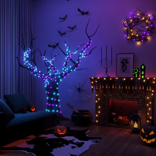 Govee 65.6ft Green Christmas String Lights 2S - Multi HOW TO BUY