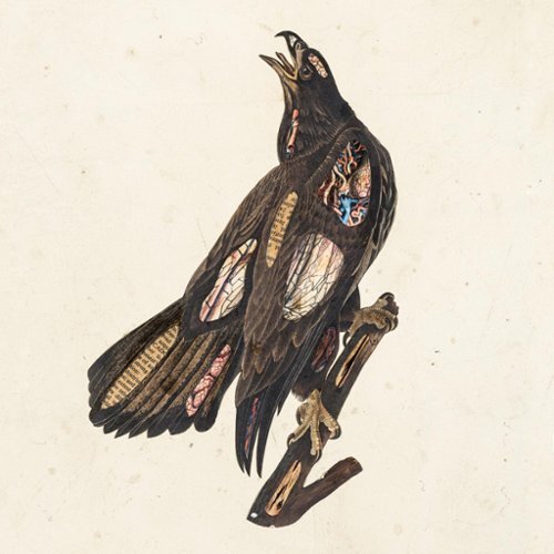  Book of Bad Decisions [2LP Picture Disc] [LP] [VINYL]