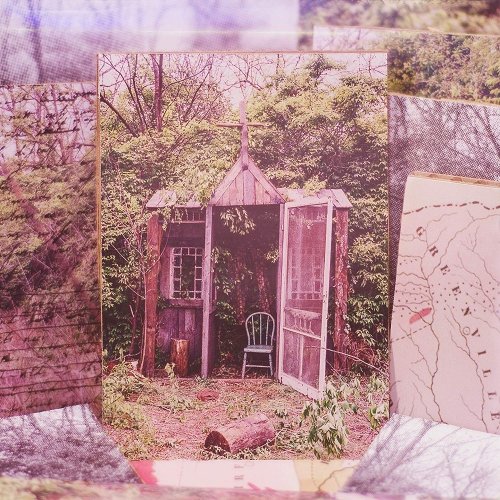 Carolina Confessions [LP] - VINYL