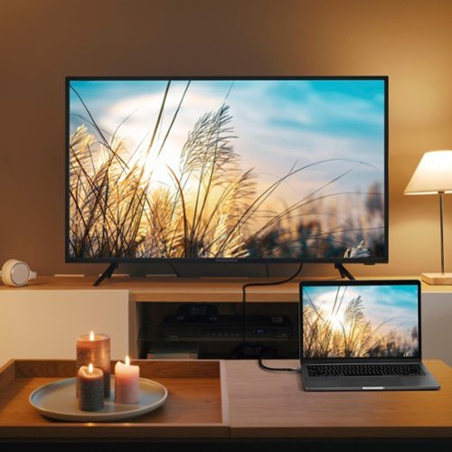 Insignia™ 6 ft. USB-C to DisplayPort Cable - Black WORLDWIDE DELIVERY