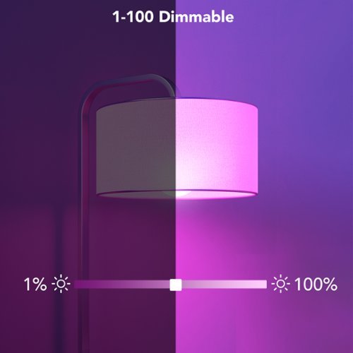 Govee A19 800 Lumens Wi-Fi Smart LED Bulb (2-Pack) GLOBAL SHIPPING