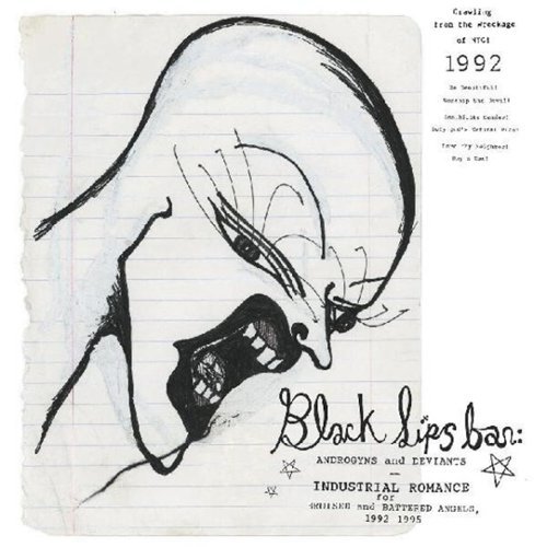 

Blacklips Bar: Androgyns and Deviants – Industrial Romance for Bruised and Battered Angels 1992-1995 [LP] - VINYL