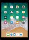 Apple - 12.9-Inch iPad Pro (2nd generation) with Wi-Fi - 64GB - Space Gray-Front_Standard 