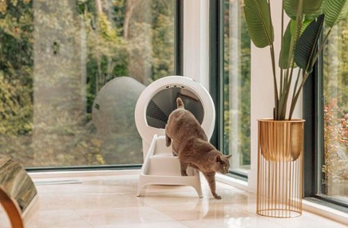 Whisker Litter-Robot 4 Ramp - Black WORLDWIDE DELIVERY