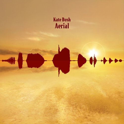 

Aerial [LP] - VINYL