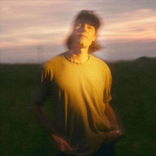 Big in the USA [LP] [VINYL]