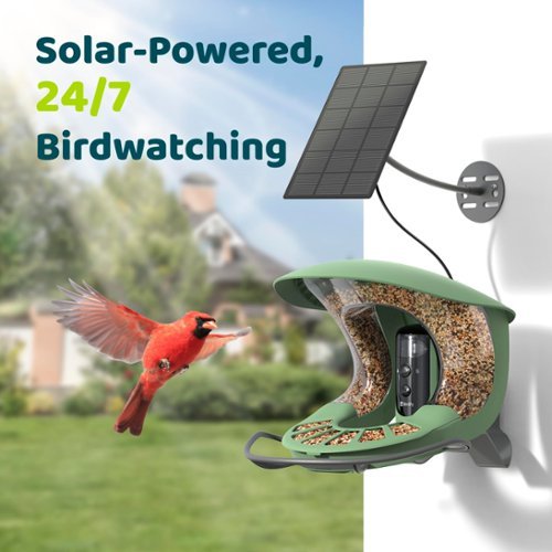 BIRDFY Birdfy 2 Smart Bird Feeder with Camera, 2K Portrait & 1080P Wide-Angle, AI Identifies 6000+ Birds, Weatherproof - Green WHERE TO BUY