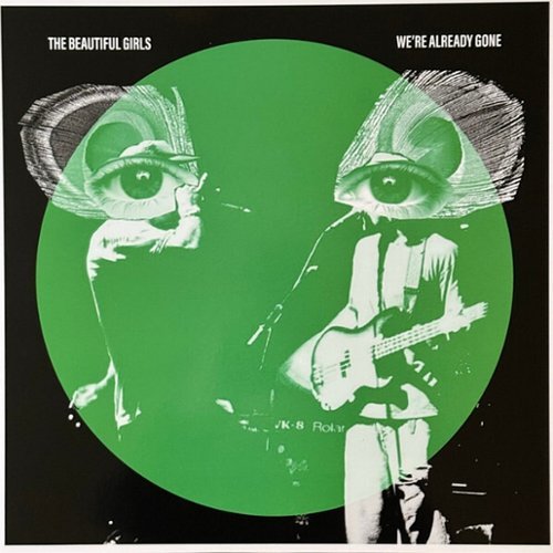 We're Already Gone [LP] [VINYL]