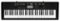Casio - Portable Keyboard with 61 Piano-Style Keys - Black-Front_Standard