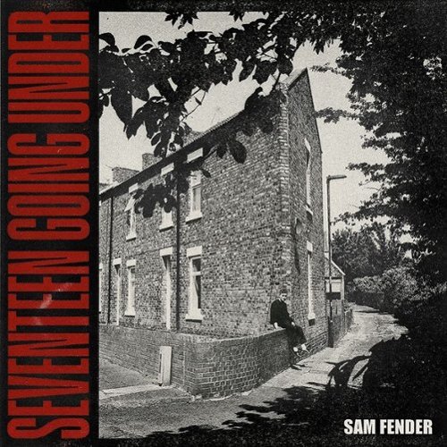 Seventeen Going Under [LP] - VINYL