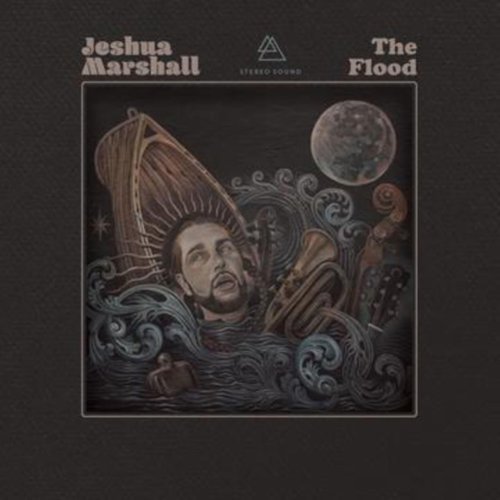

The Flood [LP] - VINYL