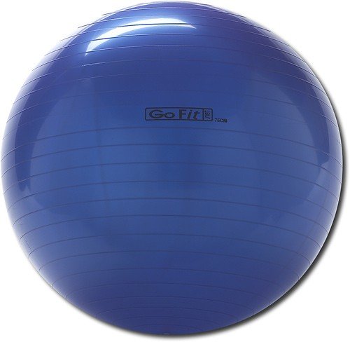  GoFit - Exercise Ball - Blue