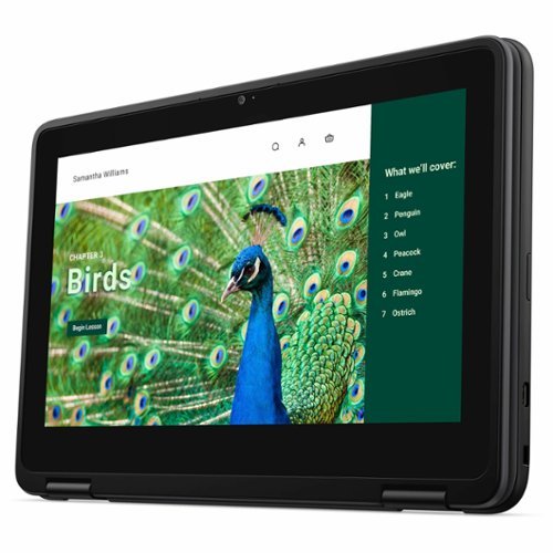 Dell Chromebook 3120 11.6 Touchscreen Convertible 2-in-1 Laptop Intel N-Series N100 4GB 64GB EMMC - Gray BUY ONLINE