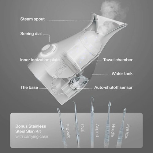 Pure Daily Care Nano Ionic Facial Steamer with 5 Piece Skin Kit and Hyaluronic Serum - Silver GLOBAL SHIPPING